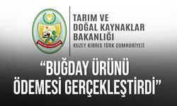 Tarım ve Doğal Kaynaklar Bakanlığı 2024 yılı buğday ürünü ödemesini gerçekleştirdi