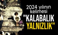 TDK'nın 2024 yılının kelimesi oylamasında "kalabalık yalnızlık" seçildi