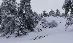 Trodos’ta kar kalınlığı 14 santimetreye ulaştı