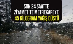 Ziyamet’te 45 kg yağış kaydedildi