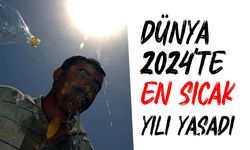 2024, küresel sıcaklık kayıtlarında en sıcak yıl oldu