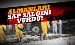 Almanya'da 35 yıl sonra ilk şap hastalığı salgını!