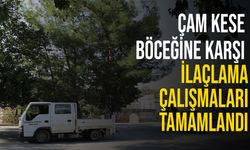 Değirmenlik Akıncılar Belediyesi, çam kese böceğine karşı ilaçlama çalışmalarını tamamladı