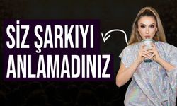 Hadise'den 'Sıfır Tolerans' eleştirilerine cevap geldi: Yanlış yaptığımı düşünmüyorum