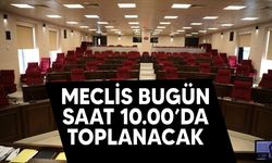 Meclis bugün denetim işleviyle toplanacak