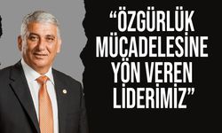 Özçınar, Dr. Fazıl Küçük’ün vefatının 41’inci yıl dönümü nedeniyle mesaj yayımladı