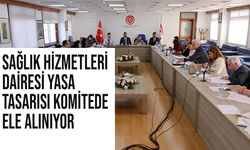 Sağlık Hizmetleri Dairesi Yasa Tasarısı komitede ele alınıyor