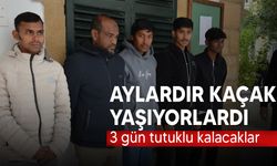 Kaçak yaşayan zanlılar mahkemeye çıkarıldı