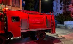 Lefkoşa ve Serdarlı'da çıkan iki ayrı yangında ormanlık alanlar zarar gördü