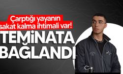 Kaldırımdaki yaya çarpan 19 yaşındaki sürücü mahkemeye çıkarıldı!