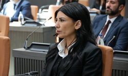 Özdenefe: "Ekonomide daralma yaşanıyor"