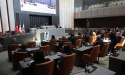 Cumhuriyet Meclisi Bugün Denetim Gündemiyle Toplanıyor