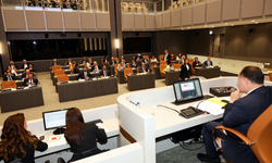 Meclis, denetim göreviyle toplanacak