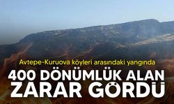 Avtepe-Kuruova arasındaki yangın tamamen söndürüldü