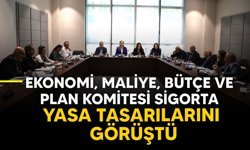 Cumhuriyet Meclisi Ekonomi, Maliye, Bütçe ve Plan Komitesi toplandı