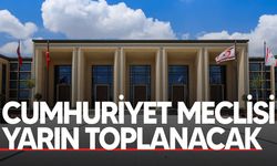 Meclis Genel Kurulu yarın yasama ve denetim göreviyle toplanacak