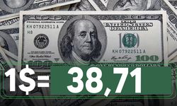 Dolar rekor tazeledi
