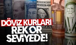 Döviz kurları rekor serisini sürdürüyor