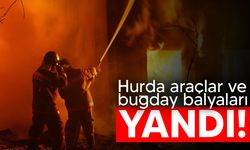 Dumlupınar ve Güneşköy'de yangın!