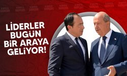 Ersin Tatar ile Nikos Hristodulidis, bugün ara bölgede görüşecek!