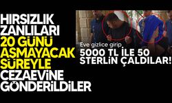 Hırsızlık zanlıları yeniden mahkemeye çıkarıldı