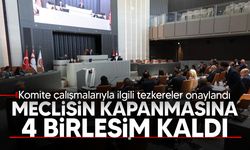 Meclis Genel Kurulu'nda komite çalışmalarıyla ilgili tezkereler onaylandı