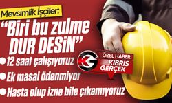Orman Dairesi’nin mevsimlik işçileri  ağır çalışma koşullarından şikayetçi