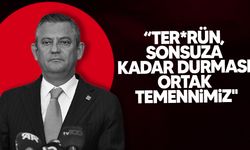 Özel'den, PKK'nın fesih kararına ilişkin açıklama