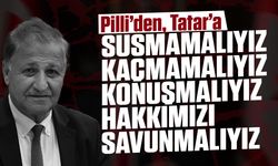 Ali Pilli mülkiyet meselesini değerlendirdi