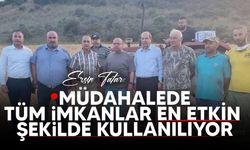 Tatar,  yangın yerinde incelemelerde bulundu