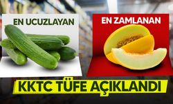 Tüketici Fiyatları Genel Endeksi verileri yayımlandı!