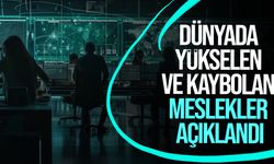 "2025 Mesleklerin Geleceği" raporunda tehlike altındaki meslekler sıralandı!