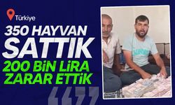 350 adet kurbanlık hayvan satan üretici zarar ettiğini söyledi