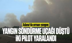 Adana'da orman yangını!