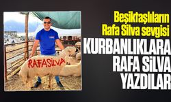Beşiktaşlılar, kurbanlıklara Rafa Silva yazdılar...