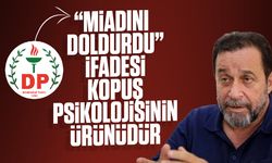 Demokrat Parti'den, Serdar Denktaş'a yanıt!