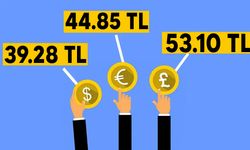 Döviz kurları yüksek seyirde