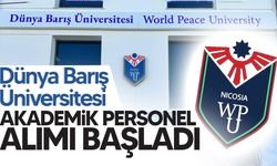 Dünya Barış Üniversitesi akademik personel alımı başladı