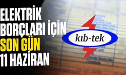 Elektrik borçları için son gün 11 Haziran...