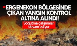Ergenekon bölgesinde çıkan yangın kontrol altına alındı!
