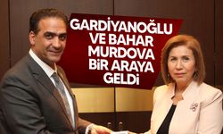 Gardiyanoğlu, Azerbaycan Aile, Kadın ve Çocuk İşleri Devlet Komitesi Başkanı ile görüştü