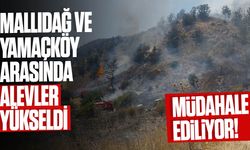 Geçitkale'de orman yangını!