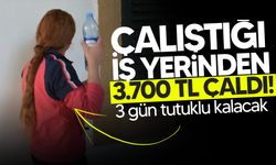Hırsızlık zanlısı mahkemeye çıkarıldı!