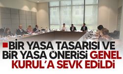 İdari, Kamu ve Sağlık İşleri Komitesi, bir yasa tasarısı ve bir yasa önerisini Genel Kurul’a sevk etti