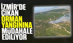 İzmir'de çıkan orman yangınına müdahale ediliyor
