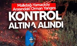 Mallıdağ-Yamaçköy arasında çıkan orman yangını kontrol altına alındı, soğutma çalışmaları sürüyor