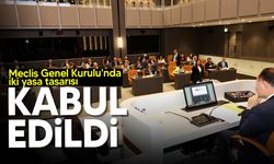 Meclis Genel Kurulu'nda iki yasa tasarısı oy birliğiyle kabul edildi