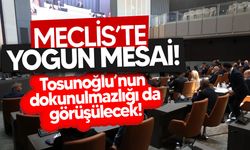 Meclis'te bugün: Tatilden önce 10 yasa tasarısı ve önerisi görüşülecek