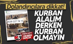 Sosyal medyada sahte kurbanlık ilanlarına dikkat: Türkiye'den KKTC'ye musallat oldular!