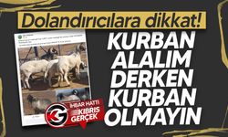 Sosyal medyada sahte kurbanlık ilanlarına dikkat: Türkiye'den KKTC'ye musallat oldular!
